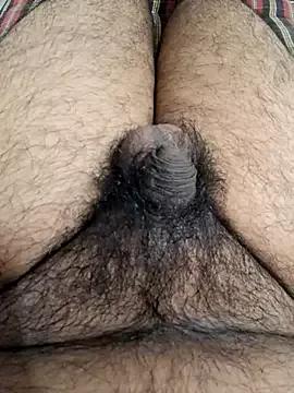 dirtybearr from StripChat is Freechat