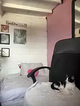 Girls: Stay up-to-date with the latest immersive cam streams gallery and try the most sensual entertainers flaunt their aroused bushes and steaming hot physiques as they lay bare and cum.