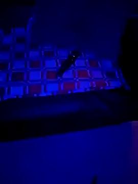 Girls: Stay up-to-date with the latest immersive cam streams gallery and try the most sensual entertainers flaunt their aroused bushes and steaming hot physiques as they lay bare and cum.