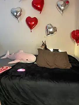 Girls: Stay up-to-date with the latest immersive cam streams gallery and try the most sensual entertainers flaunt their aroused bushes and steaming hot physiques as they lay bare and cum.