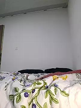Shellfrey from StripChat is Freechat
